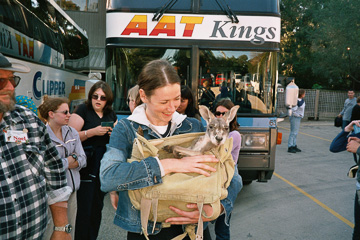 Oz Tour 2001