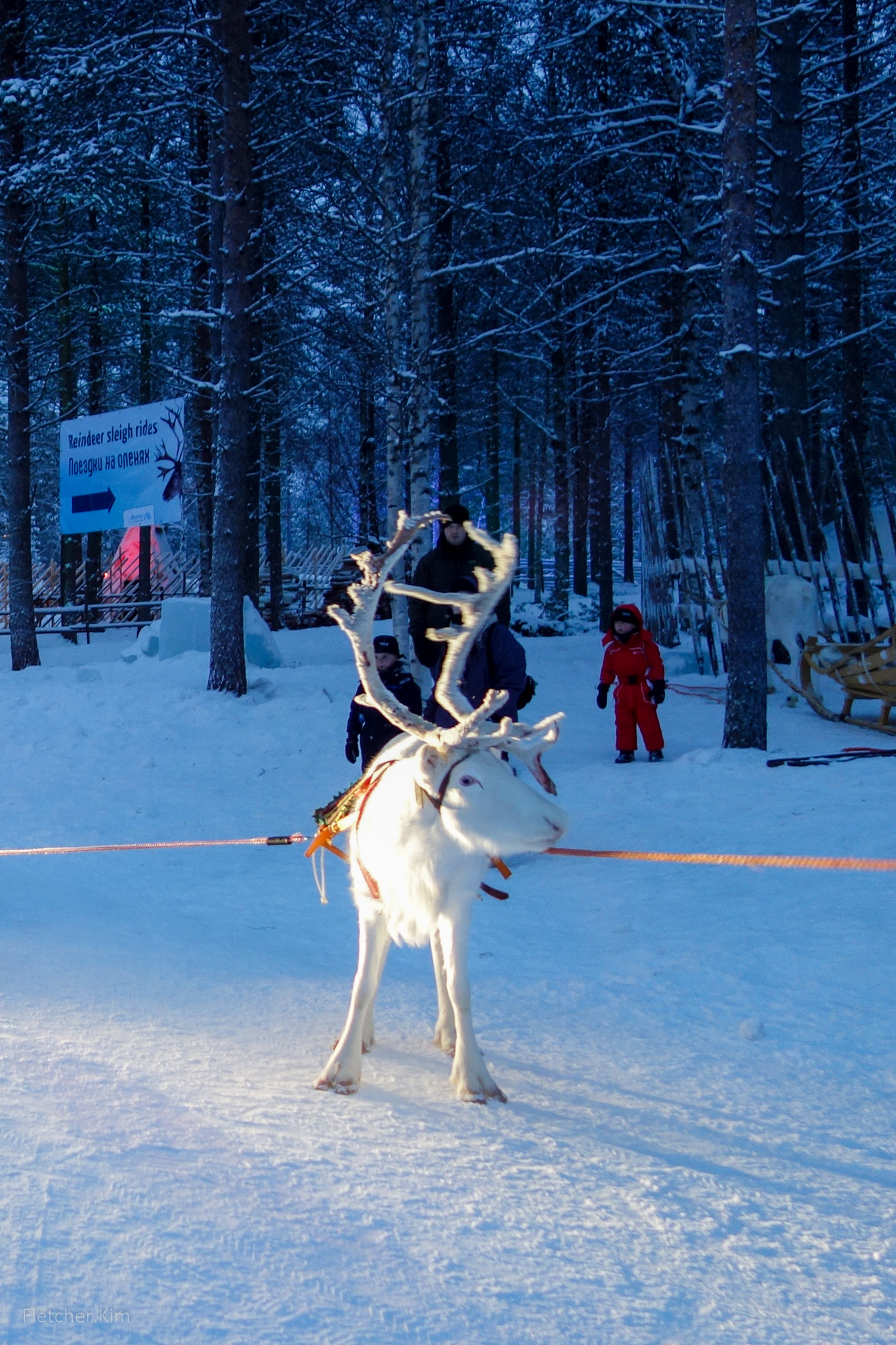 Rovaniemi-Dec12---050.jpg