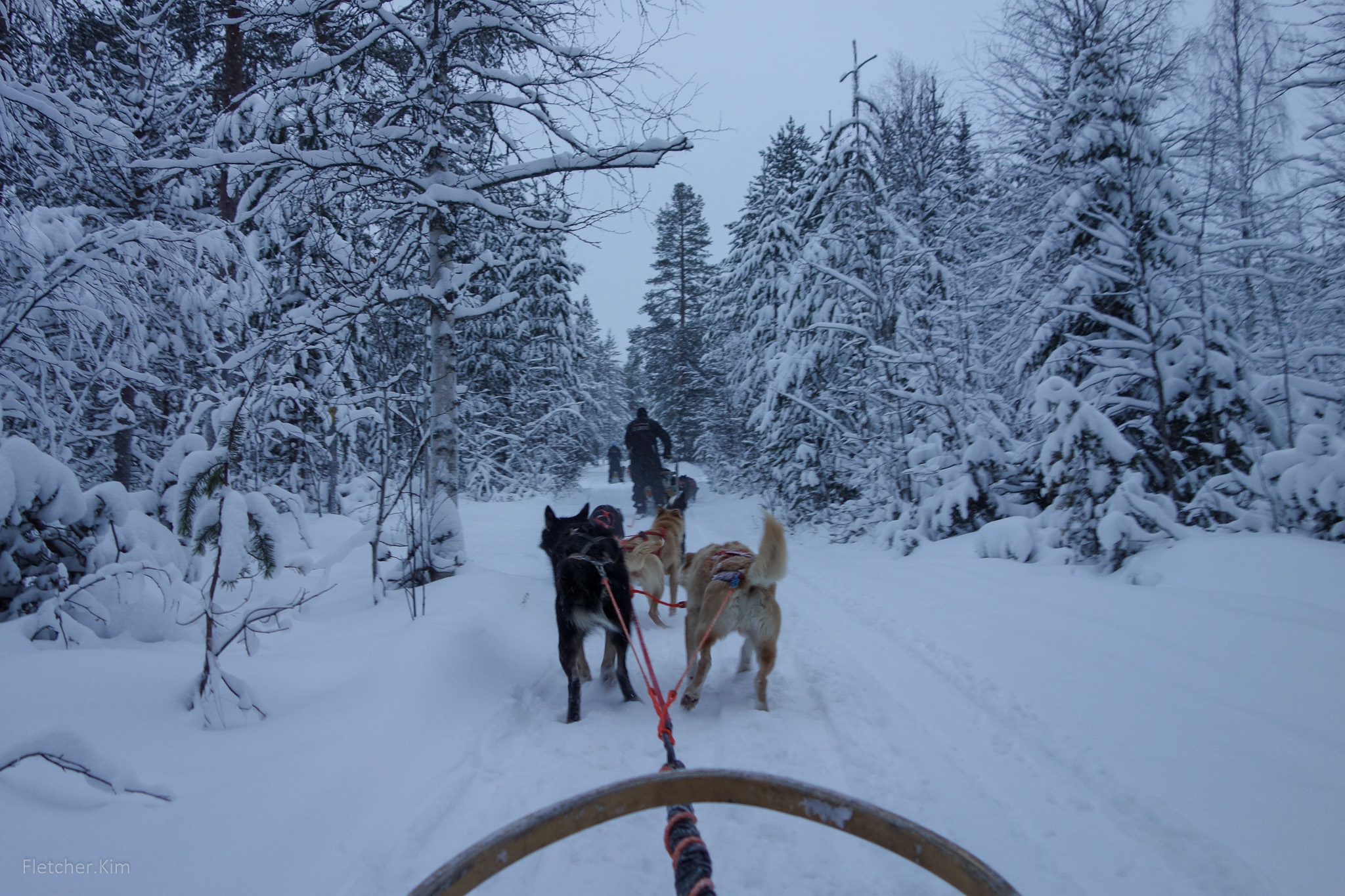 Rovaniemi-Dec12---112.jpg