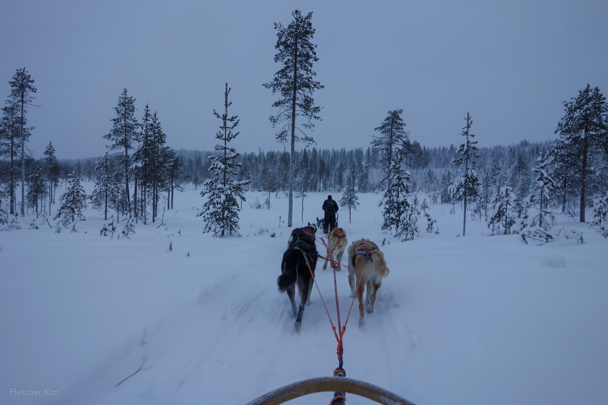 Rovaniemi-Dec12---113.jpg