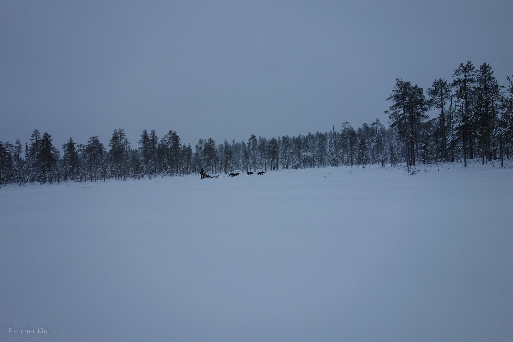 Rovaniemi-Dec12---114.jpg