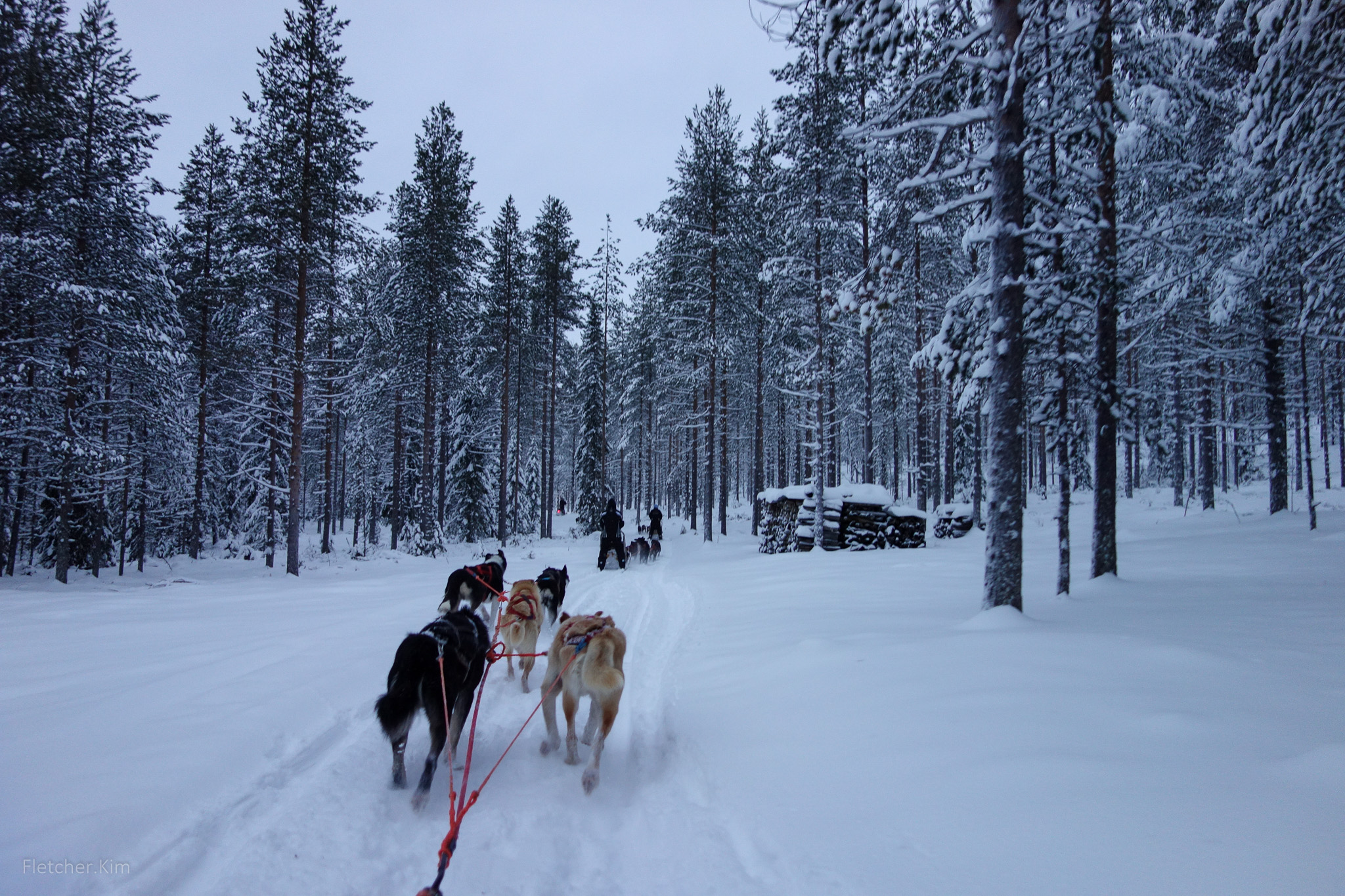 Rovaniemi-Dec12---115.jpg