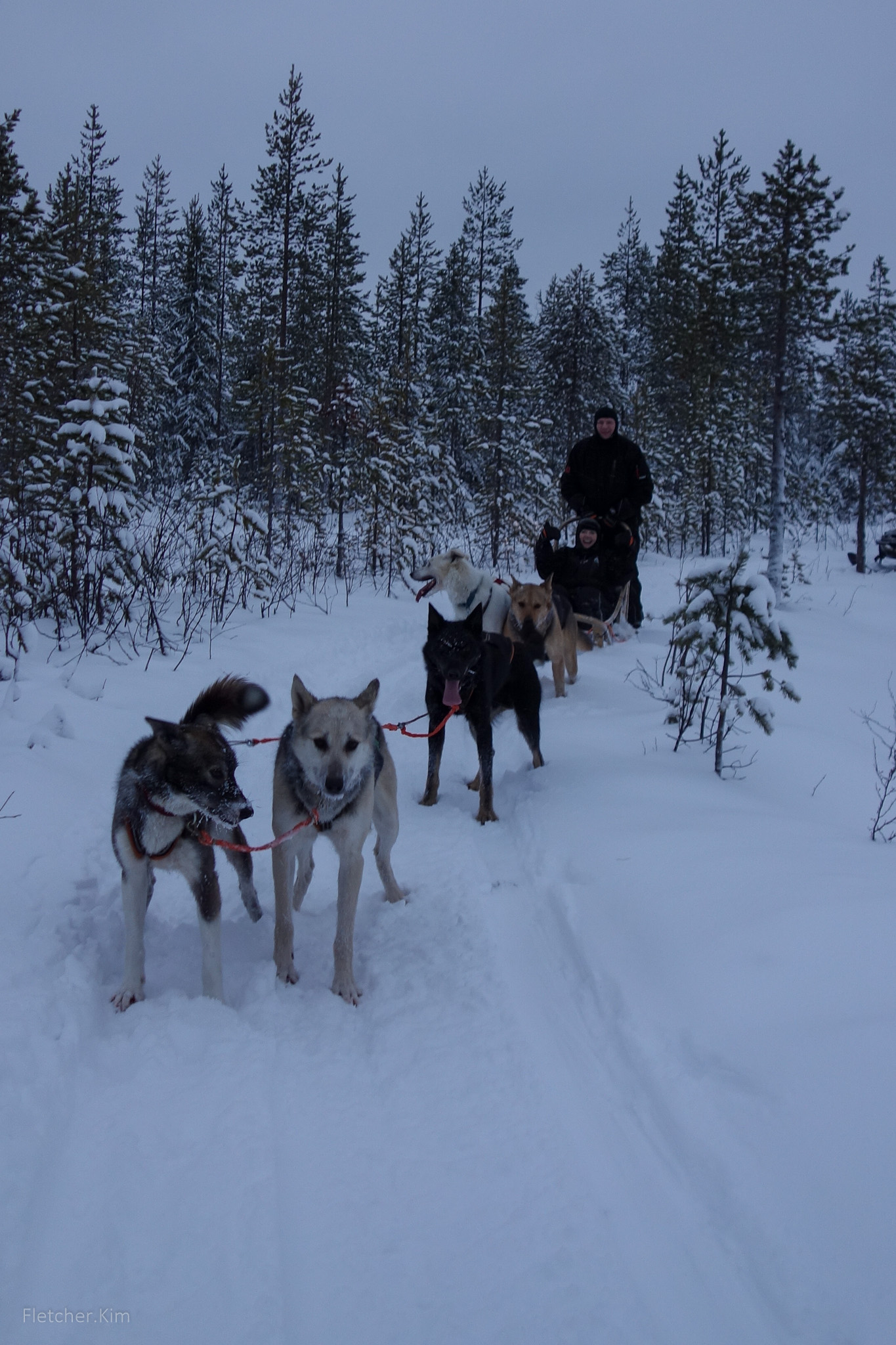 Rovaniemi-Dec12---117.jpg