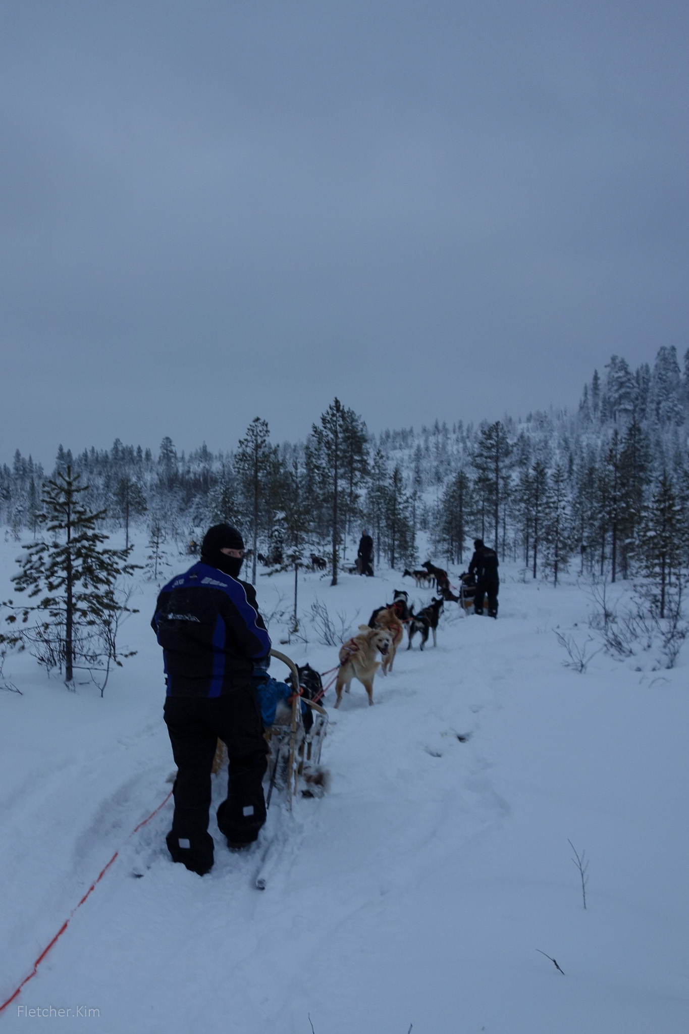 Rovaniemi-Dec12---118.jpg