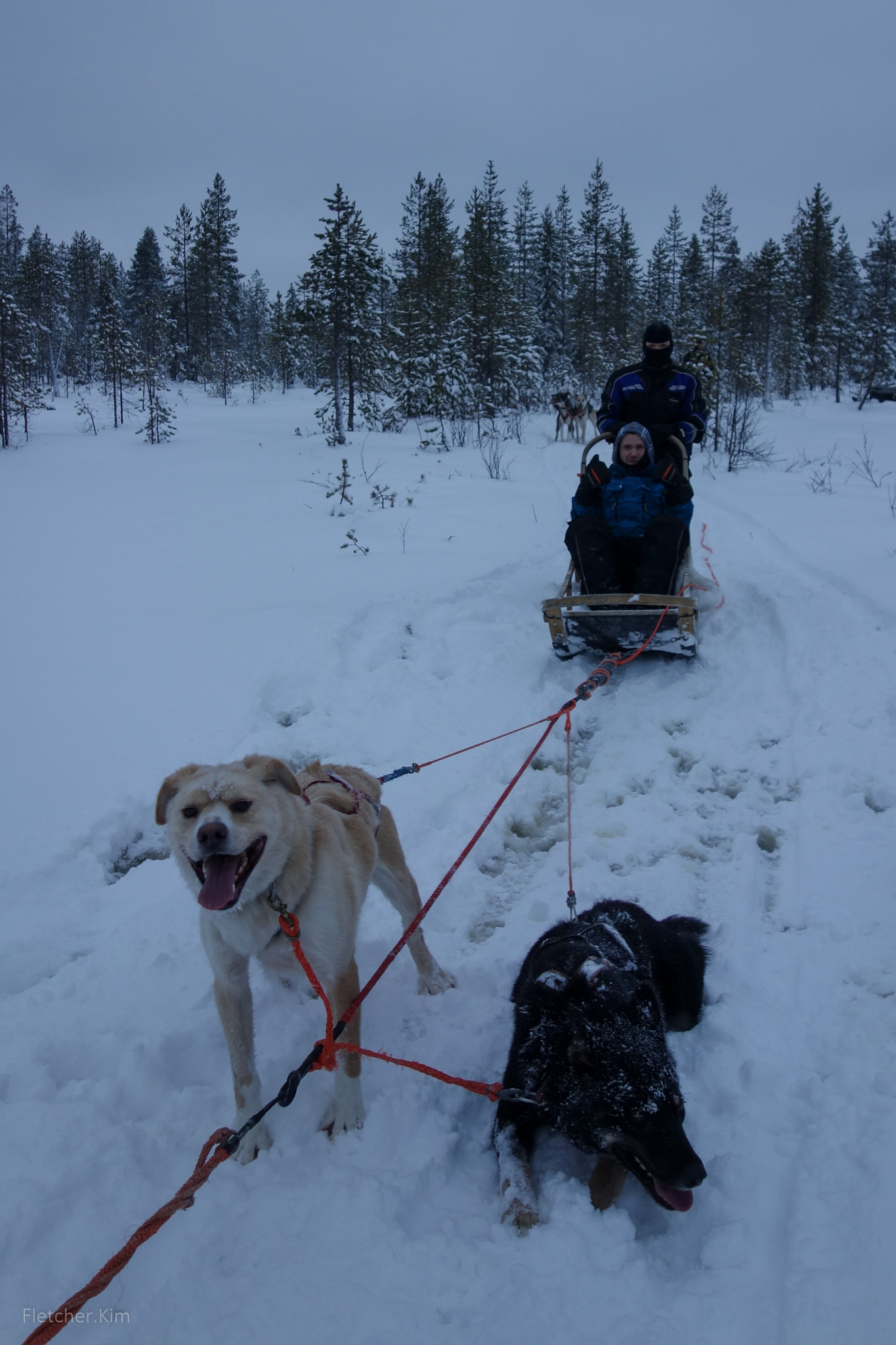Rovaniemi-Dec12---119.jpg