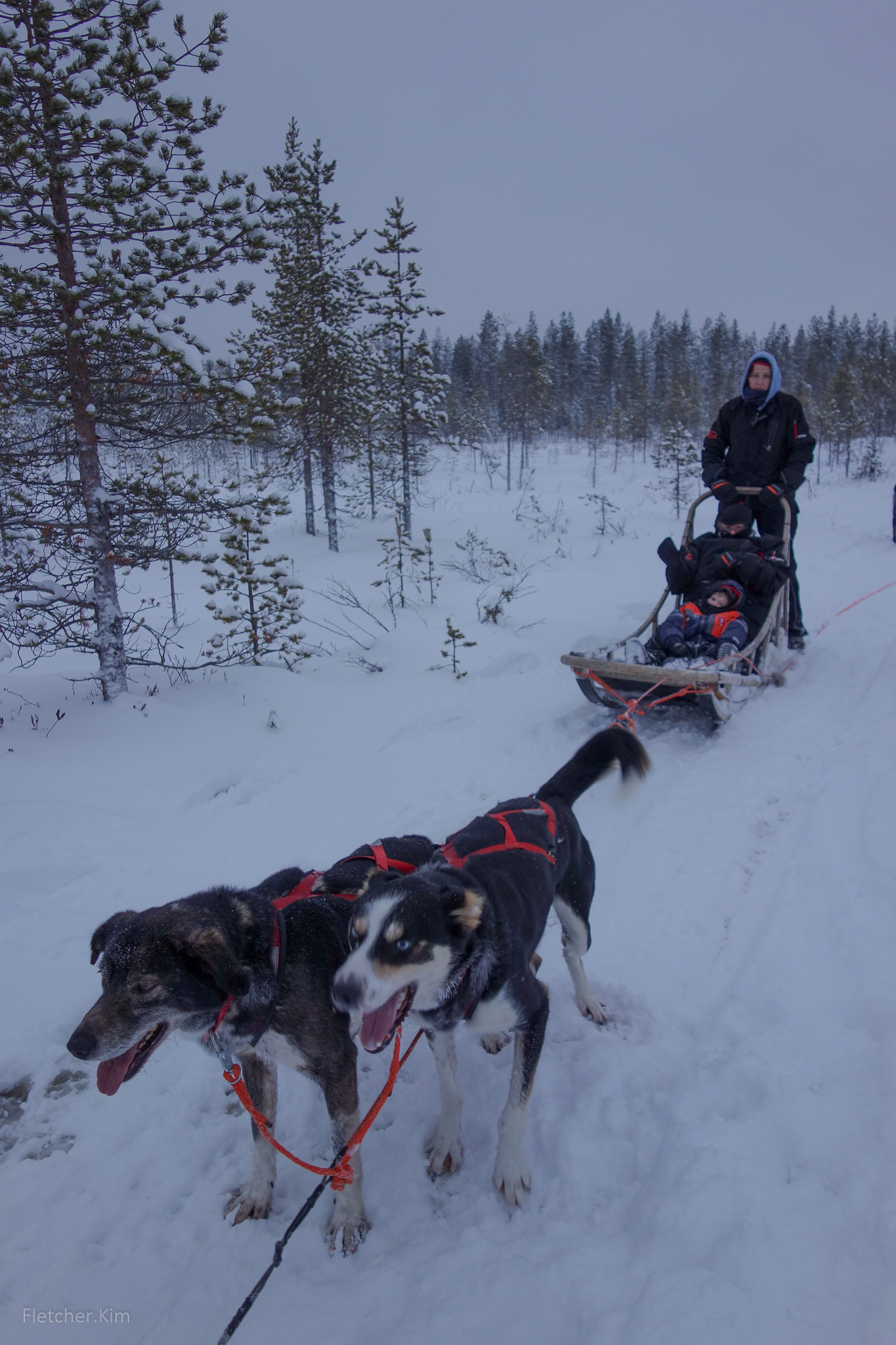 Rovaniemi-Dec12---122.jpg