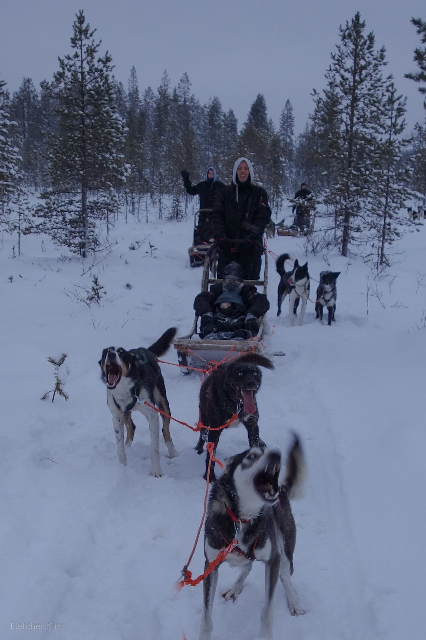Rovaniemi-Dec12---124.jpg