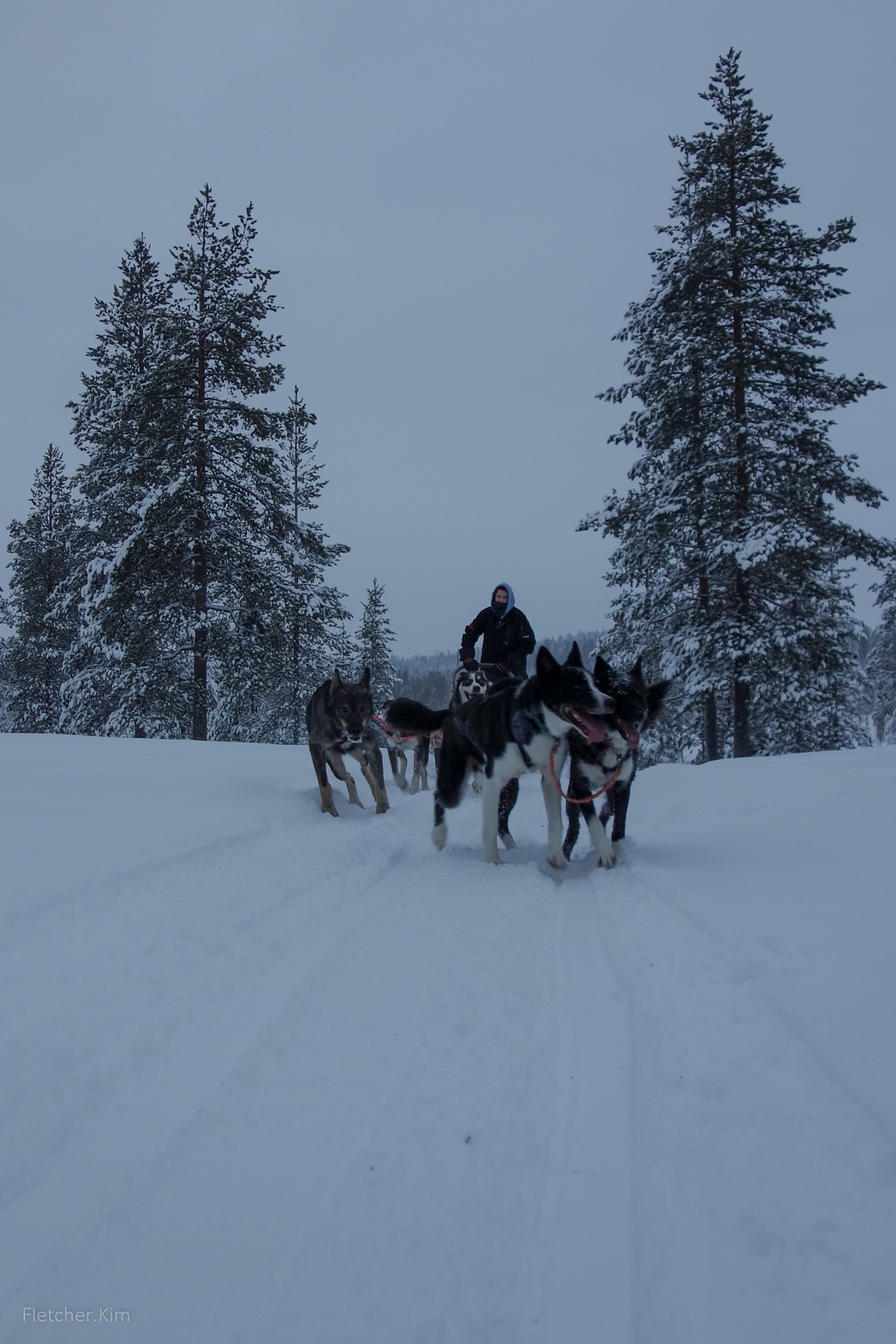 Rovaniemi-Dec12---125.jpg