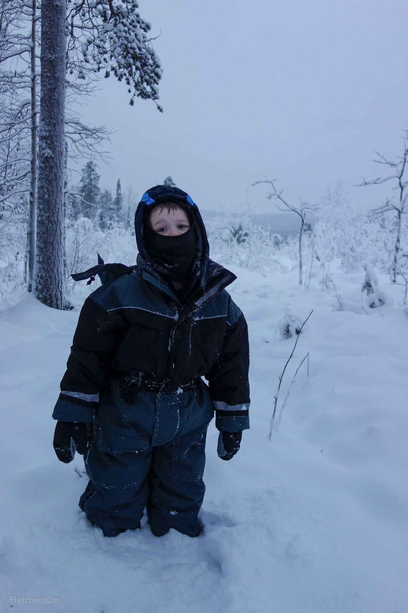 Rovaniemi-Dec12---127.jpg