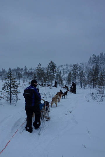 Rovaniemi-Dec12---118.jpg