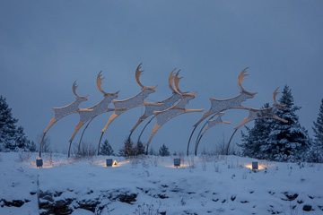 Rovaniemi-Dec12---167.jpg