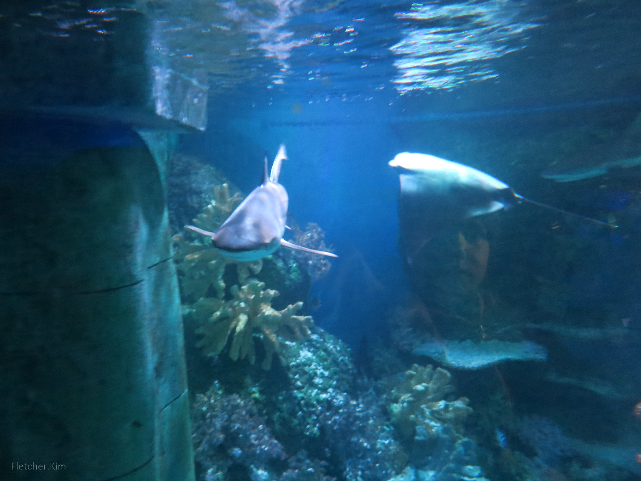 LegoLand-Apr-14---036.jpg