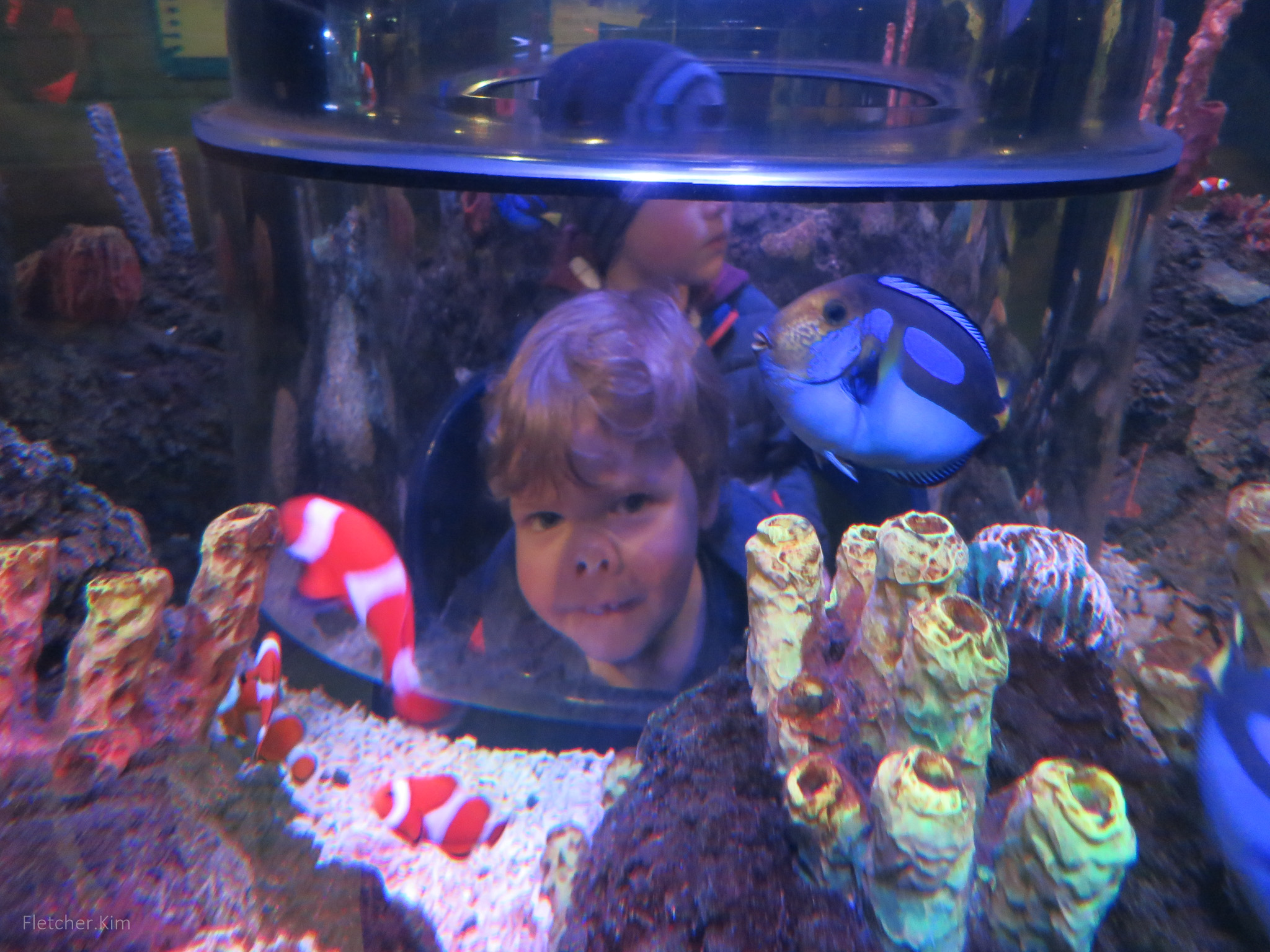 LegoLand-Apr-14---038.jpg