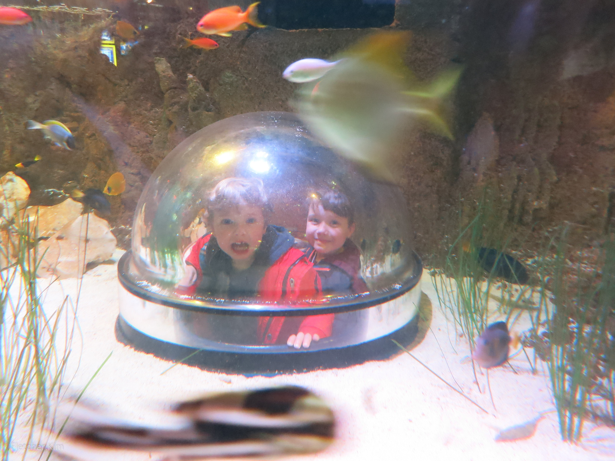 LegoLand-Apr-14---040.jpg