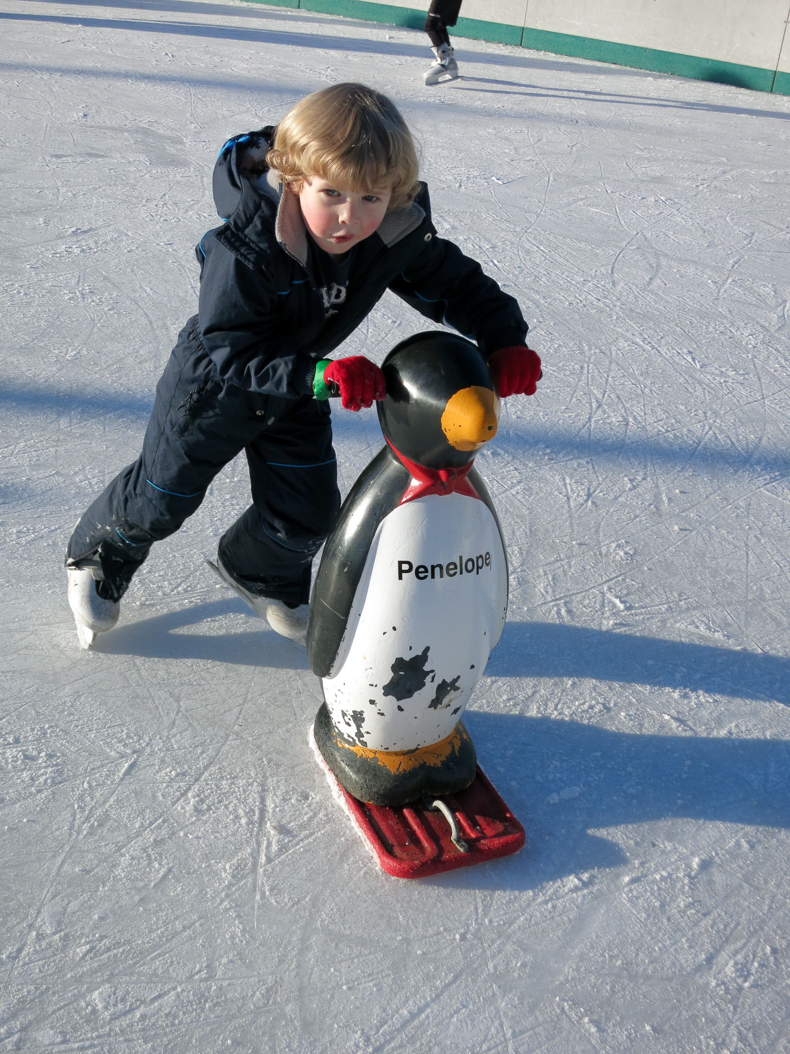 Stockeld-Park-Jan-15---015.jpg