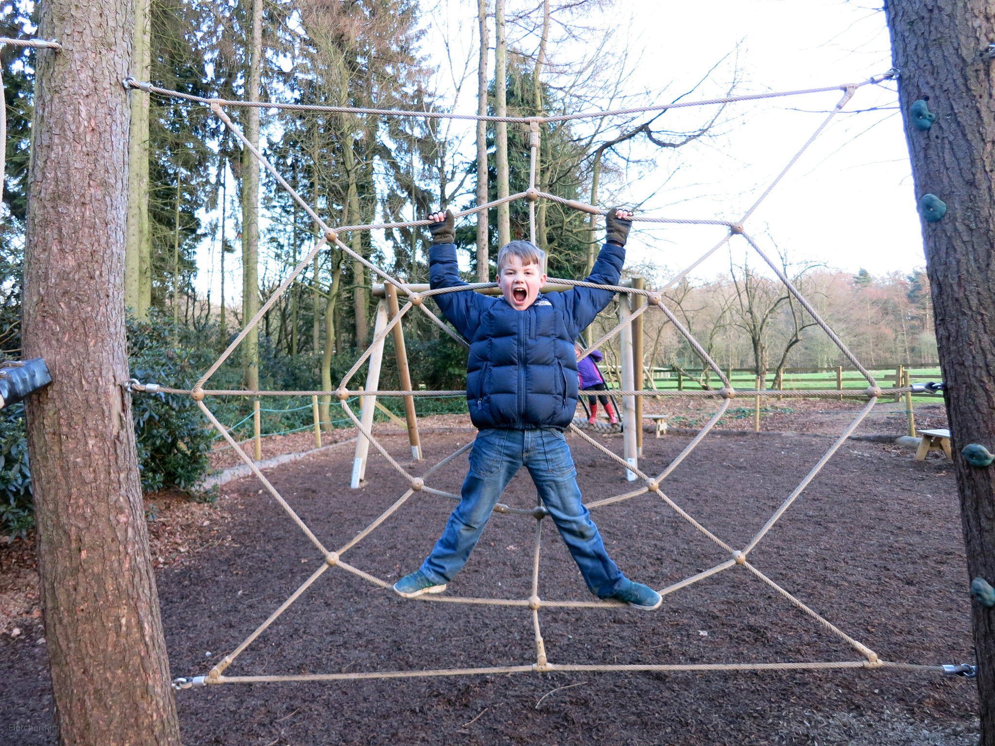 Stockeld-Park-Jan-15---032.jpg