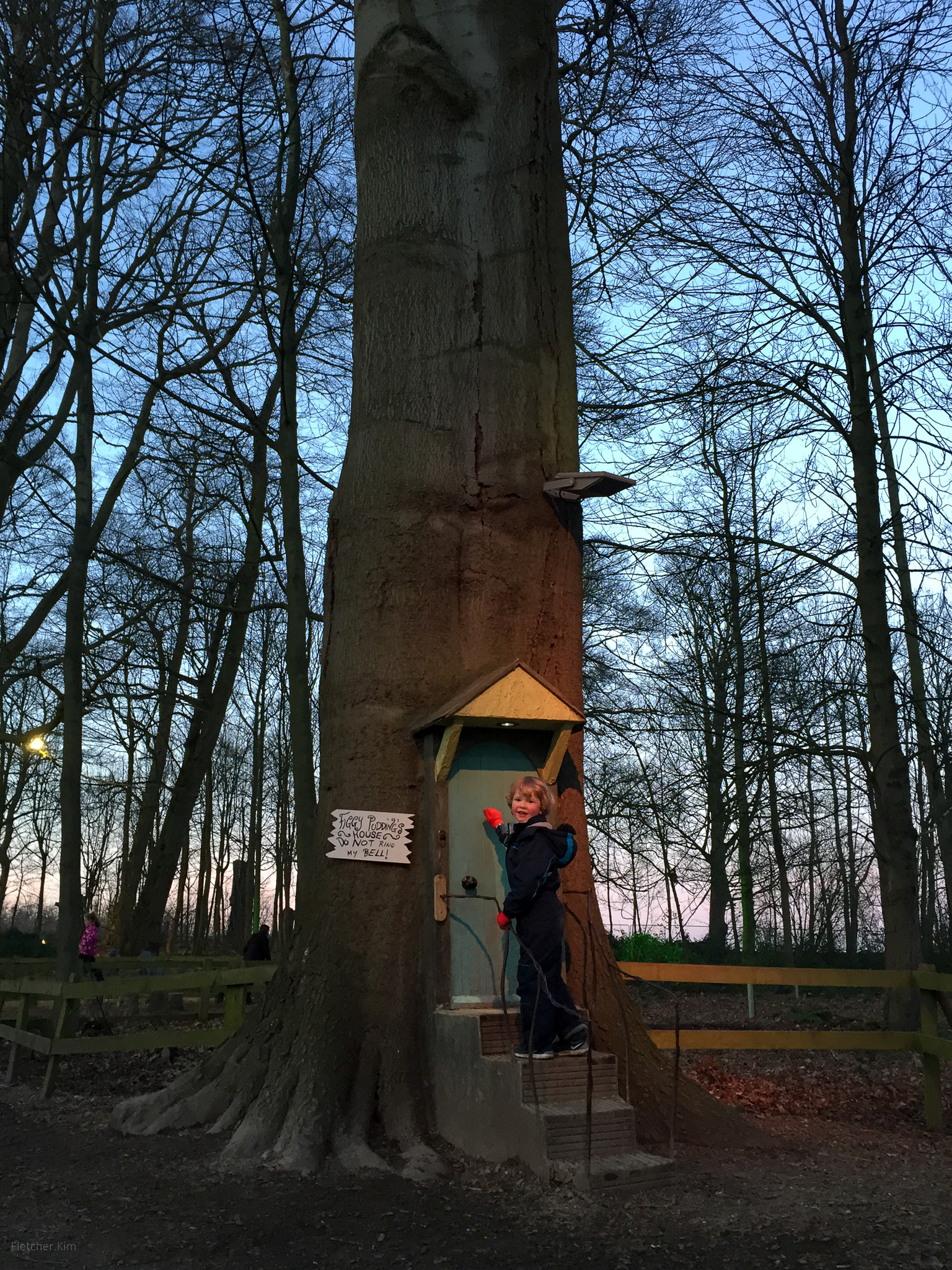 Stockeld-Park-Jan-15---038.jpg