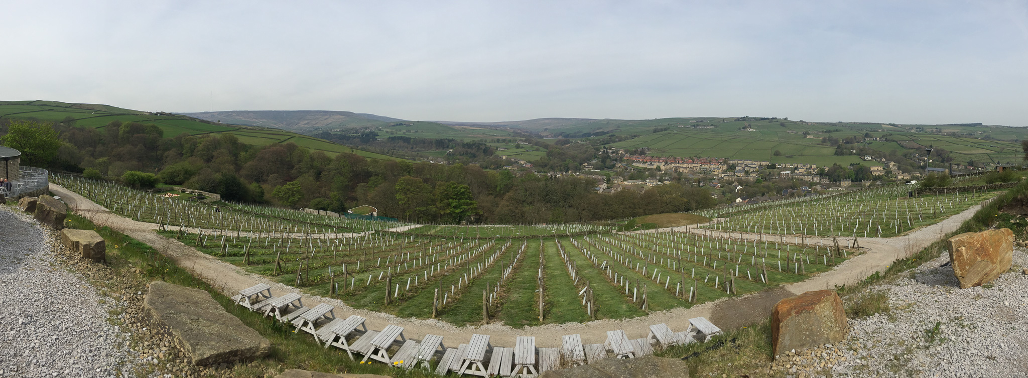 Holmfirth-Vinyard-2016---002.jpg