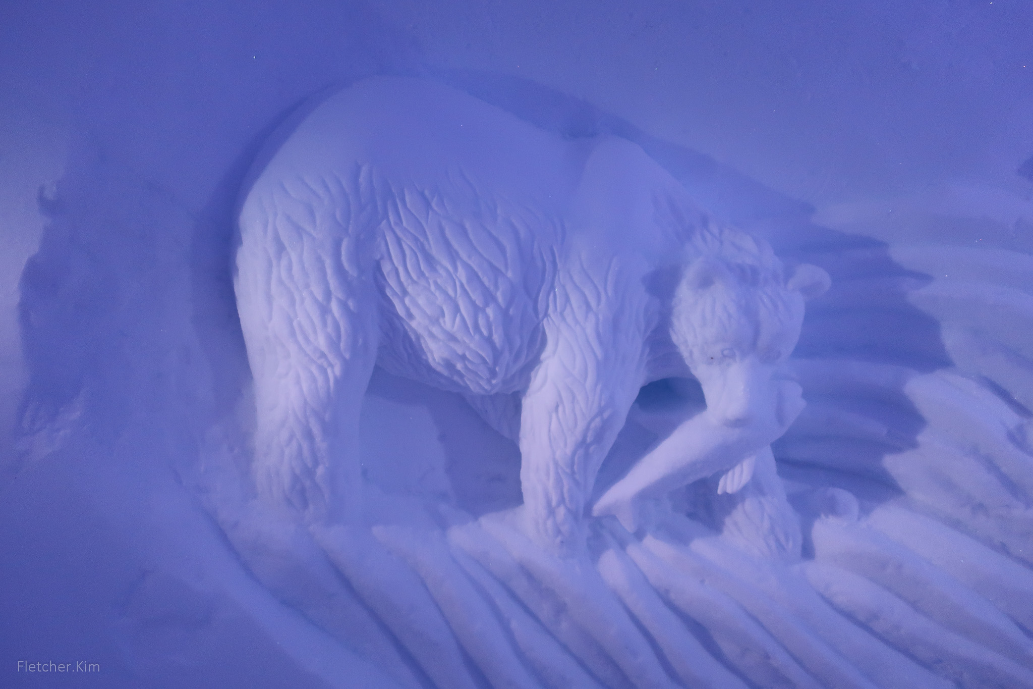 Rovaniemi-2017---0036.jpg