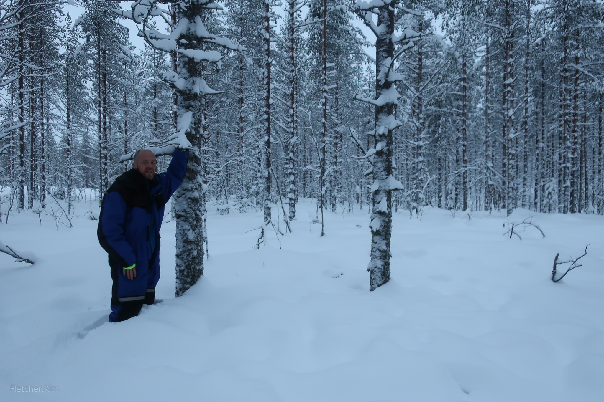 Rovaniemi-2017---0113.jpg