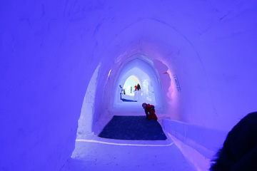 Rovaniemi-2017---0033.jpg