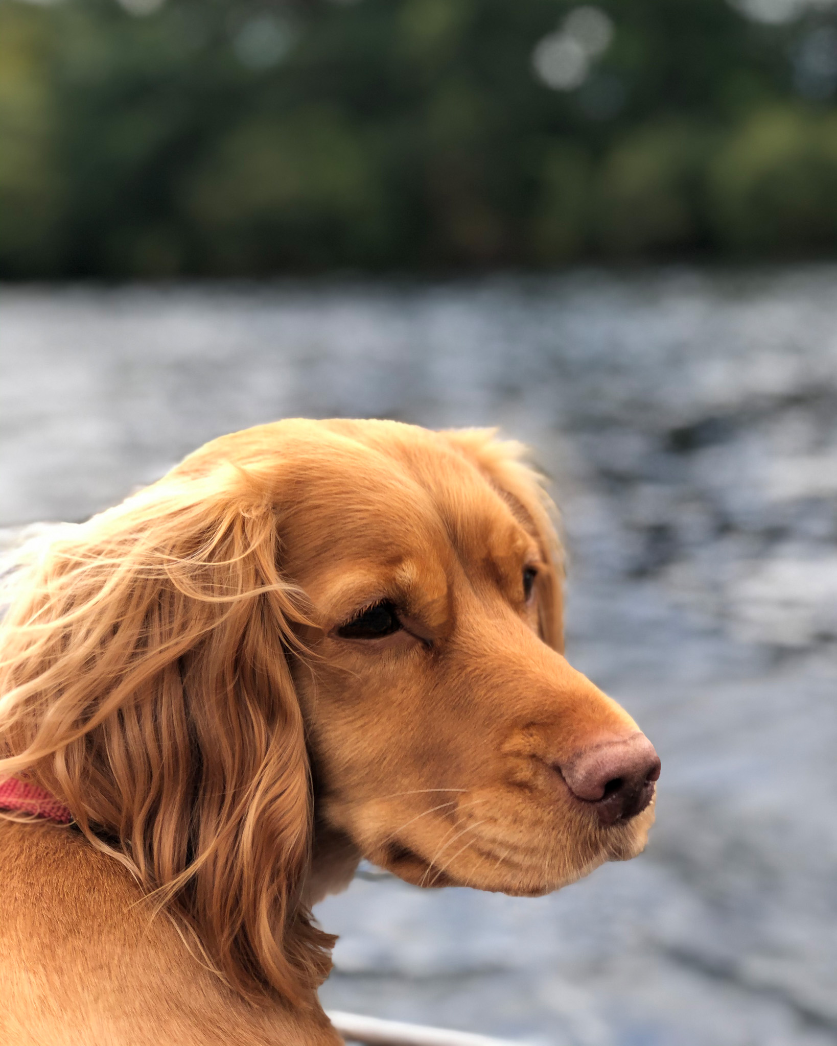 Lakes---0044.jpg