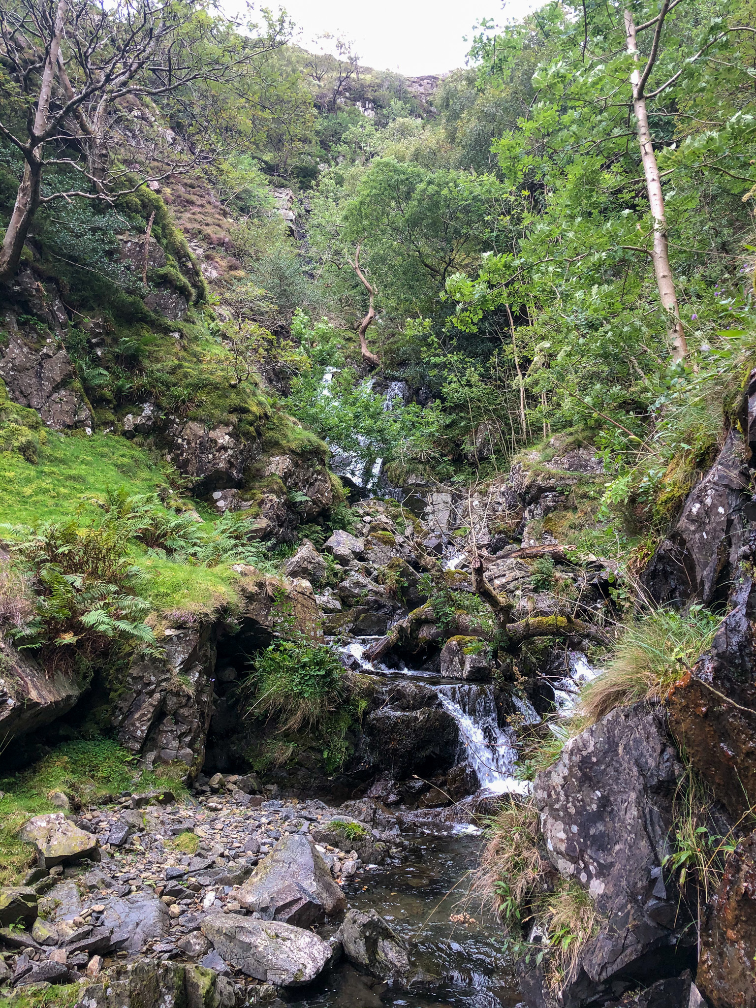 Lakes---0066.jpg