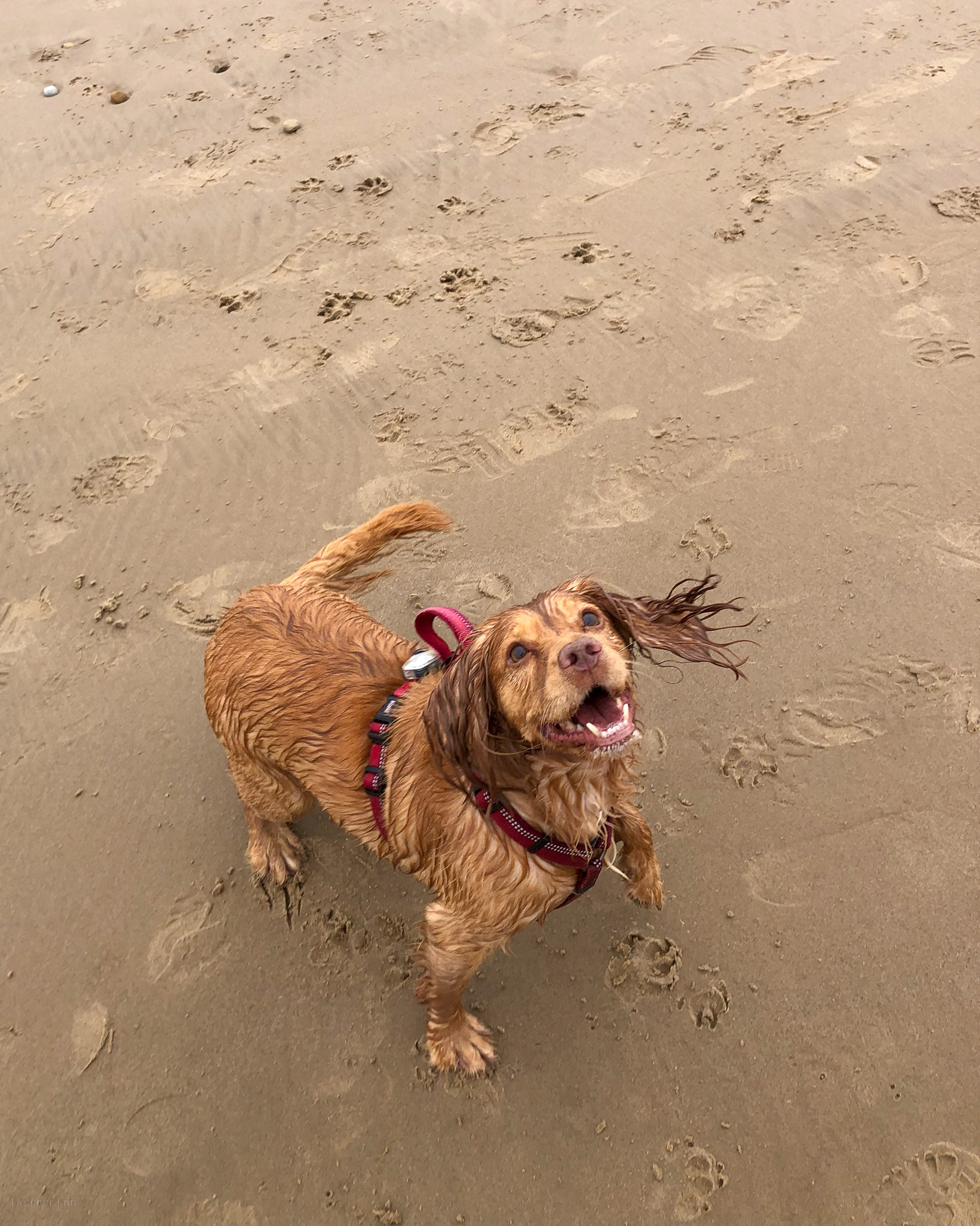 Saltburn-Sept-22---0002.jpg